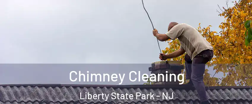 Chimney Cleaning Liberty State Park - NJ