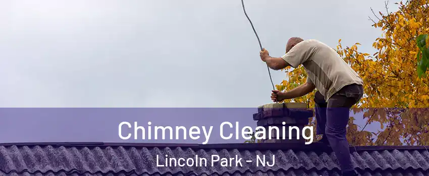 Chimney Cleaning Lincoln Park - NJ