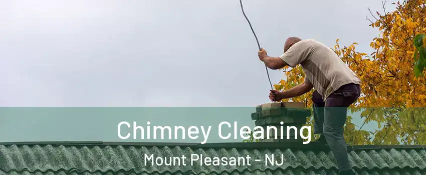 Chimney Cleaning Mount Pleasant - NJ