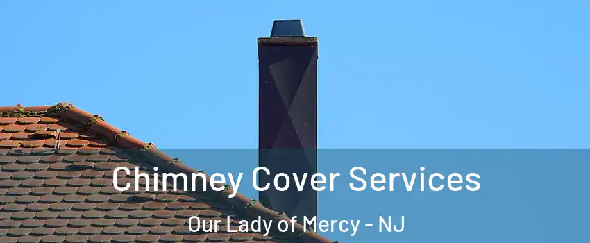 Chimney Cover Services Our Lady of Mercy - NJ