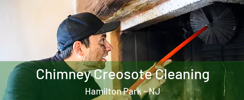 Chimney Creosote Cleaning Hamilton Park - NJ