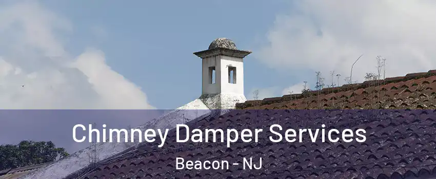 Chimney Damper Services Beacon - NJ