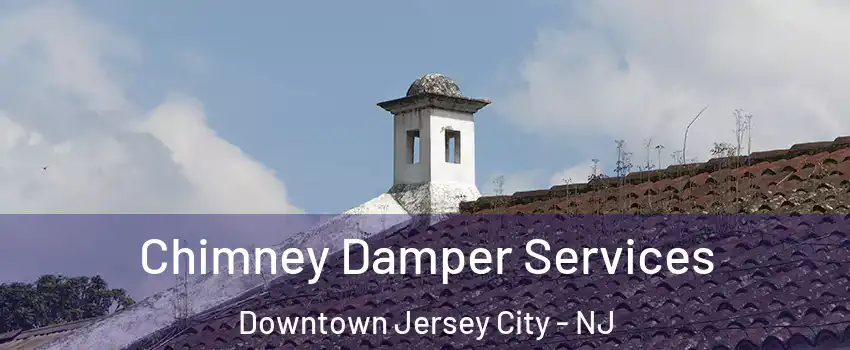 Chimney Damper Services Downtown Jersey City - NJ