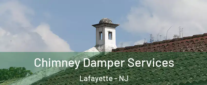 Chimney Damper Services Lafayette - NJ