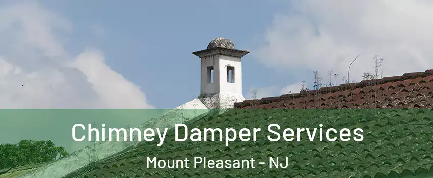 Chimney Damper Services Mount Pleasant - NJ