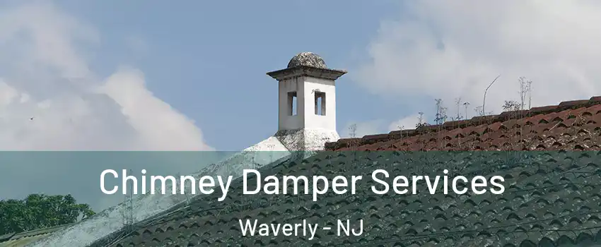 Chimney Damper Services Waverly - NJ