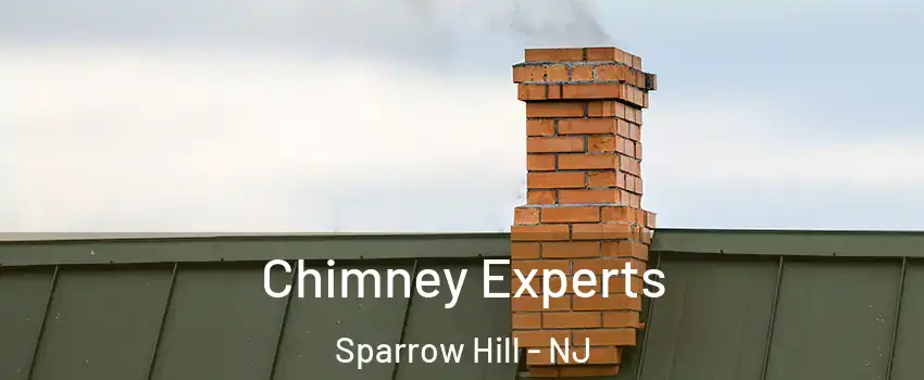 Chimney Experts Sparrow Hill - NJ