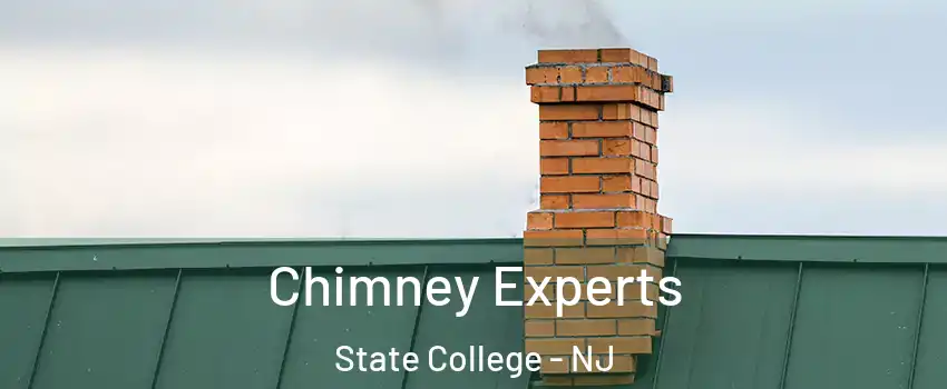 Chimney Experts State College - NJ