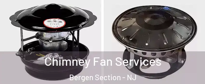 Chimney Fan Services Bergen Section - NJ