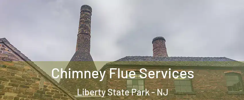 Chimney Flue Services Liberty State Park - NJ