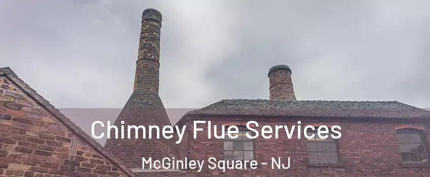 Chimney Flue Services McGinley Square - NJ