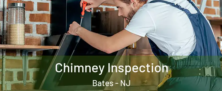 Chimney Inspection Bates - NJ