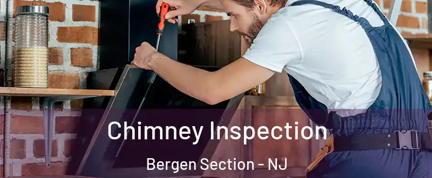 Chimney Inspection Bergen Section - NJ