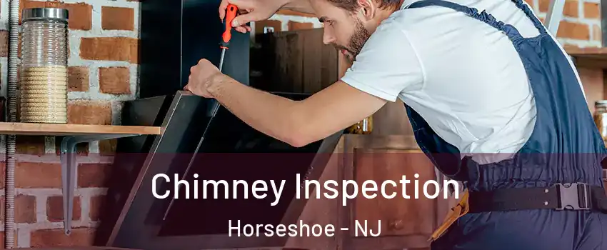 Chimney Inspection Horseshoe - NJ