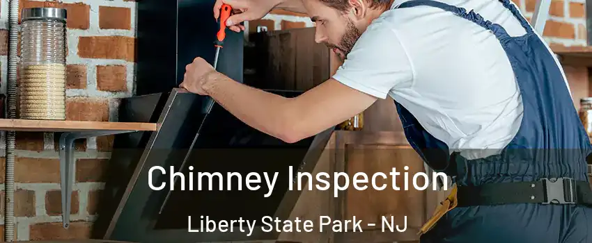 Chimney Inspection Liberty State Park - NJ