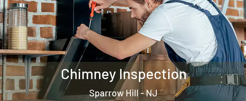 Chimney Inspection Sparrow Hill - NJ