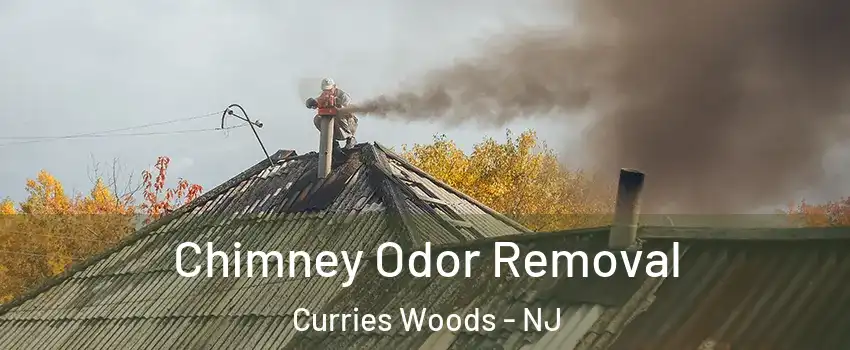 Chimney Odor Removal Curries Woods - NJ