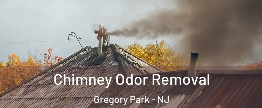 Chimney Odor Removal Gregory Park - NJ