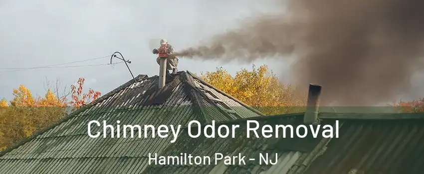 Chimney Odor Removal Hamilton Park - NJ