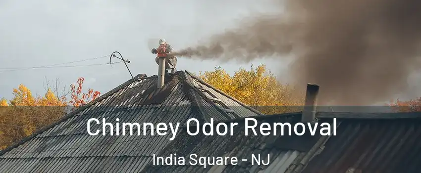 Chimney Odor Removal India Square - NJ