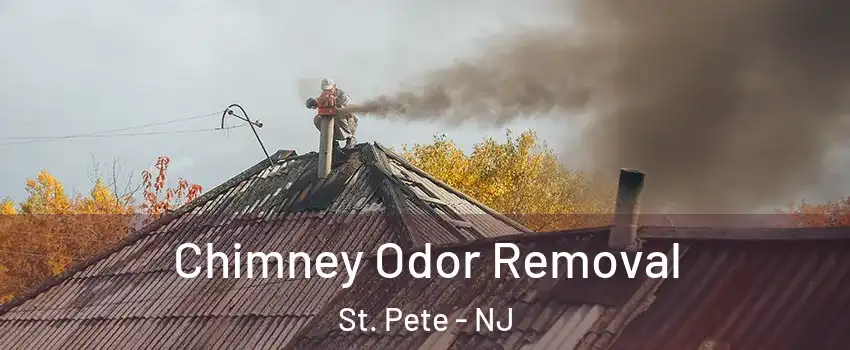 Chimney Odor Removal St. Pete - NJ