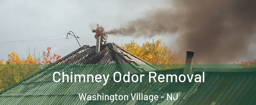 Chimney Odor Removal Washington Village - NJ