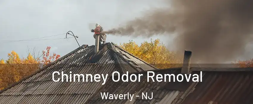 Chimney Odor Removal Waverly - NJ