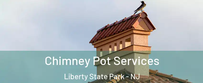 Chimney Pot Services Liberty State Park - NJ