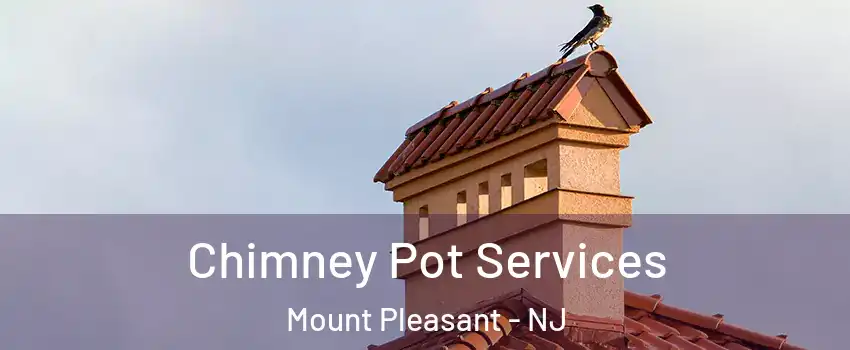 Chimney Pot Services Mount Pleasant - NJ