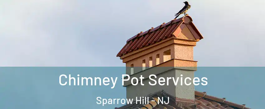 Chimney Pot Services Sparrow Hill - NJ