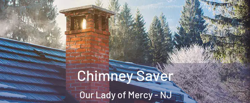 Chimney Saver Our Lady of Mercy - NJ