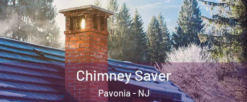 Chimney Saver Pavonia - NJ