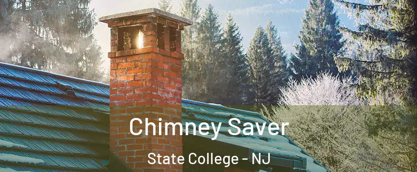 Chimney Saver State College - NJ