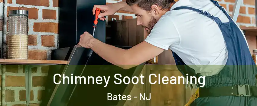 Chimney Soot Cleaning Bates - NJ