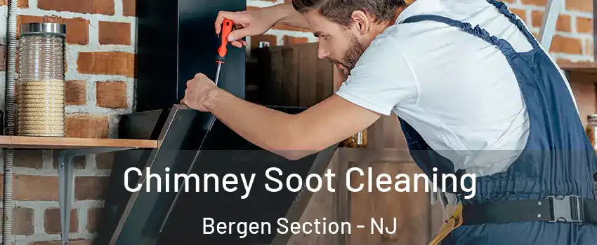 Chimney Soot Cleaning Bergen Section - NJ