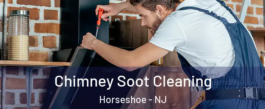 Chimney Soot Cleaning Horseshoe - NJ