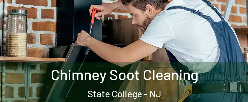 Chimney Soot Cleaning State College - NJ