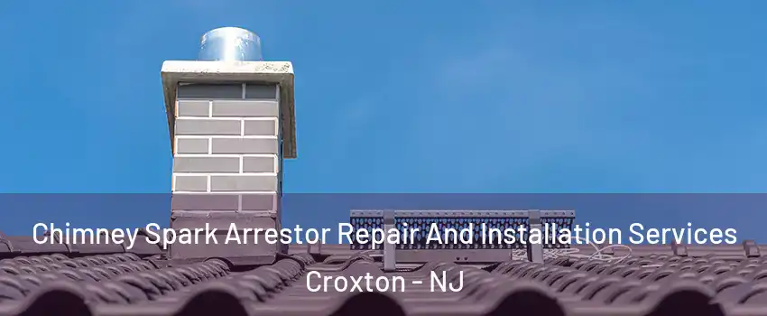 Chimney Spark Arrestor Repair And Installation Services Croxton - NJ