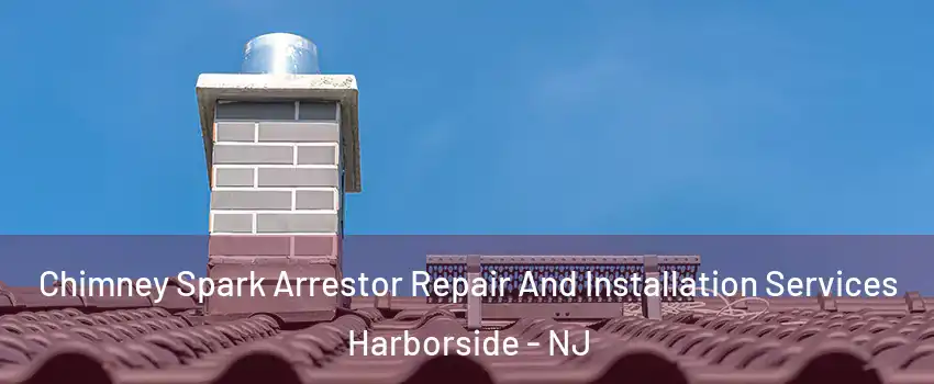 Chimney Spark Arrestor Repair And Installation Services Harborside - NJ