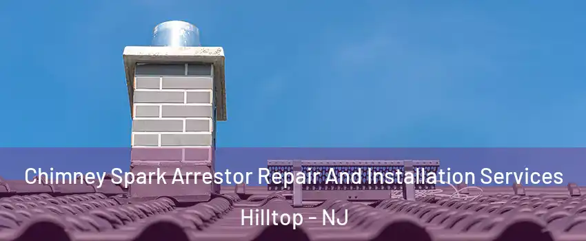 Chimney Spark Arrestor Repair And Installation Services Hilltop - NJ