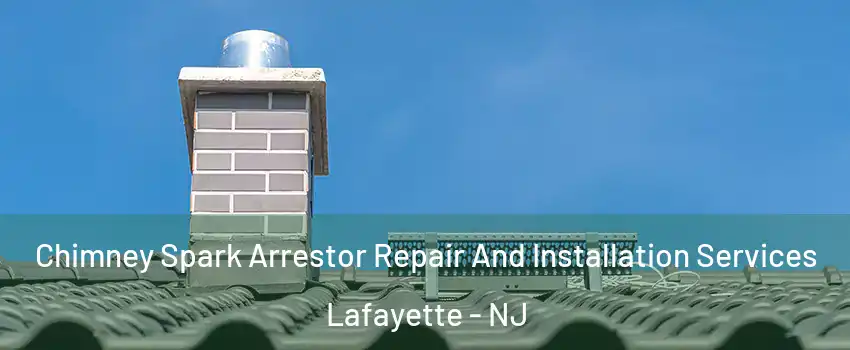 Chimney Spark Arrestor Repair And Installation Services Lafayette - NJ