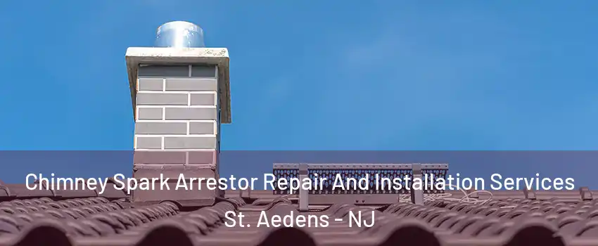 Chimney Spark Arrestor Repair And Installation Services St. Aedens - NJ