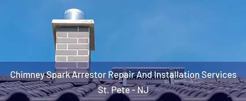 Chimney Spark Arrestor Repair And Installation Services St. Pete - NJ