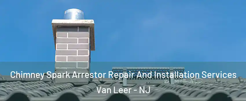 Chimney Spark Arrestor Repair And Installation Services Van Leer - NJ