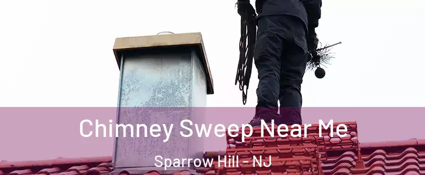 Chimney Sweep Near Me Sparrow Hill - NJ