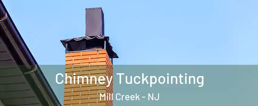 Chimney Tuckpointing Mill Creek - NJ