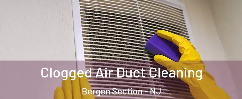 Clogged Air Duct Cleaning Bergen Section - NJ