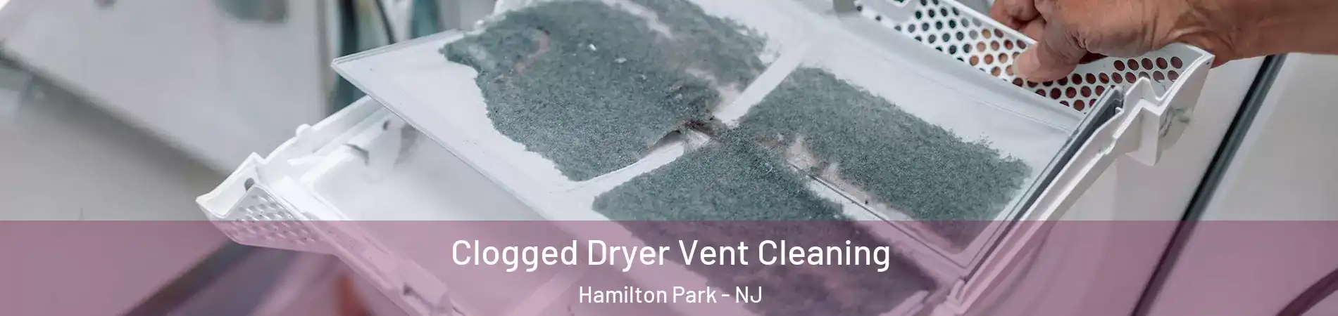 Clogged Dryer Vent Cleaning Hamilton Park - NJ