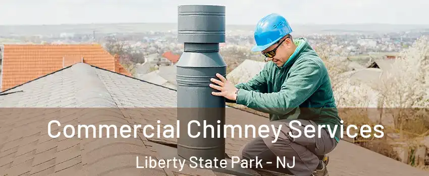 Commercial Chimney Services Liberty State Park - NJ