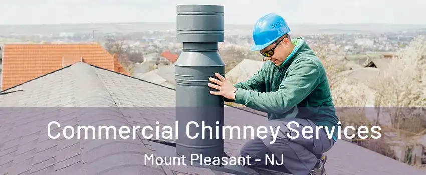 Commercial Chimney Services Mount Pleasant - NJ